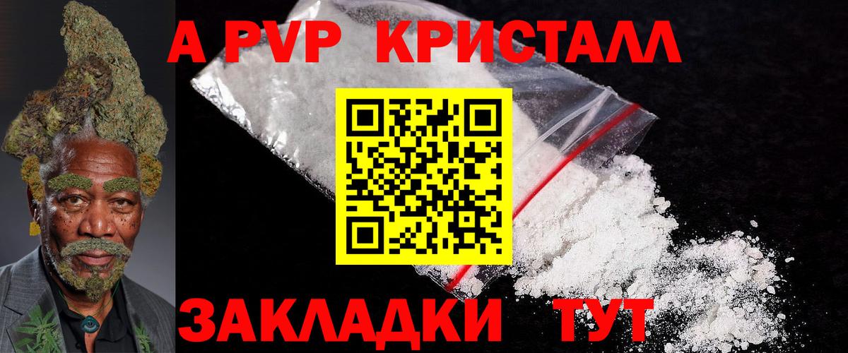 Альфа ПВП СК КРИС Калининград