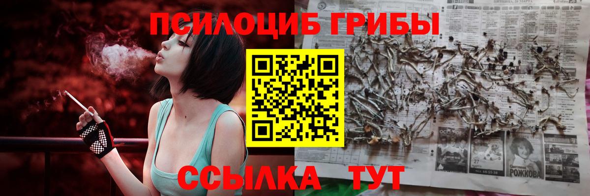 Калининград  Псилоцибиновые грибы мицелий  Вход с VPN 